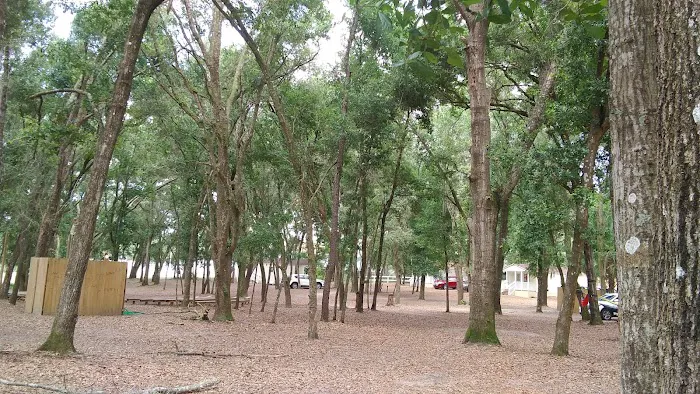 CAMP GAN ISRAEL FLORIDA 8