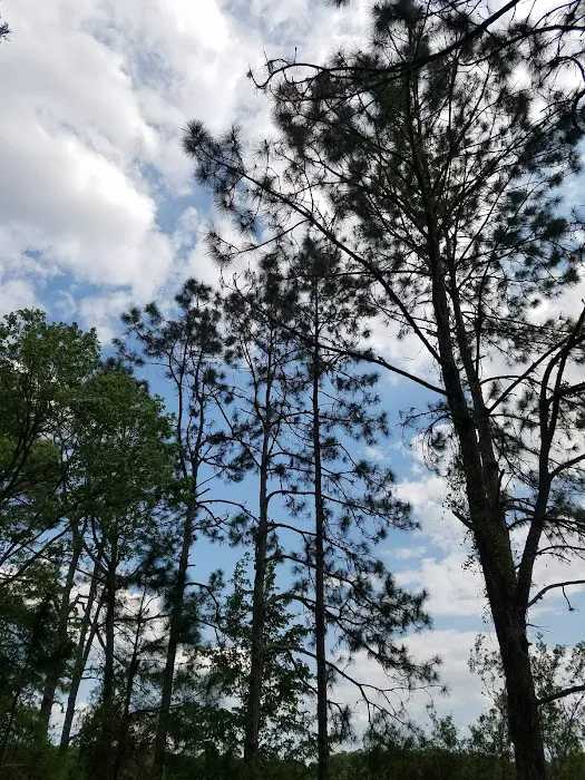 CAMP GAN ISRAEL FLORIDA 6