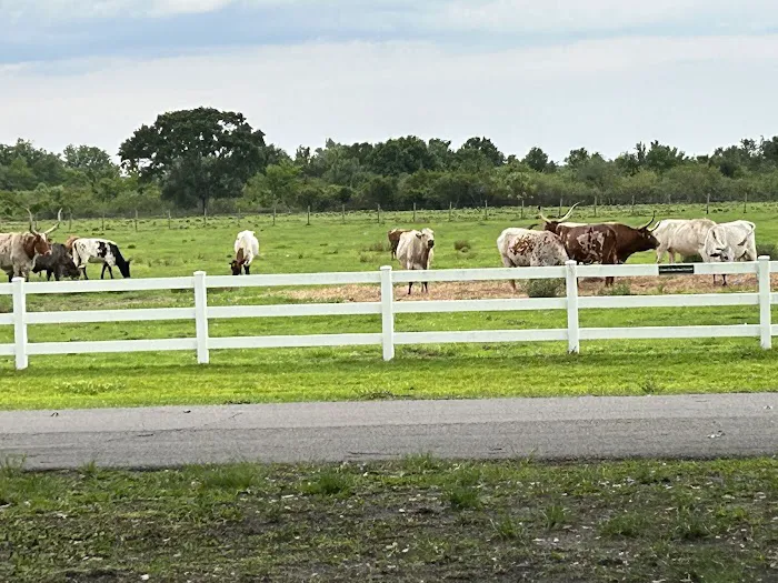 River Ranch RV Resort 9