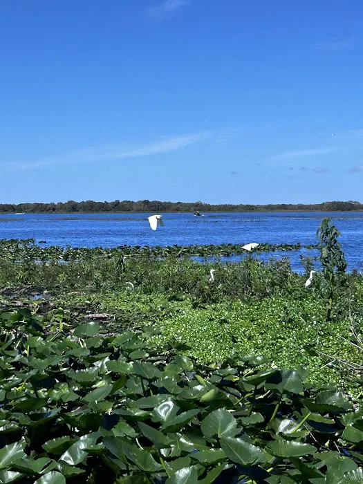Grape Hammock Fish Camp & Airboat Rides 5