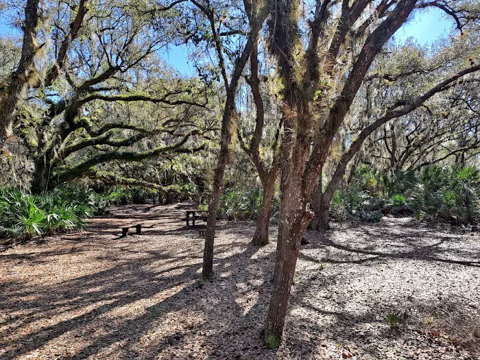 KICCO - Rattlesnake Hammock Campsite 4