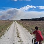 KICCO - Rattlesnake Hammock Campsite