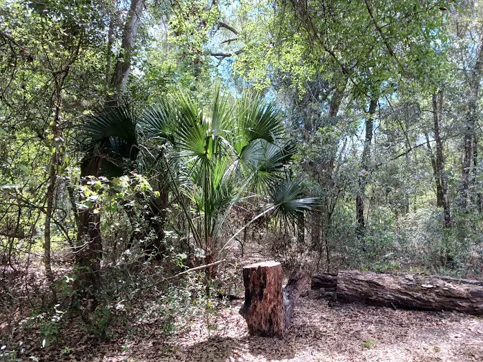 Hog Island Recreation Area, Campground & Kayak Launch 7