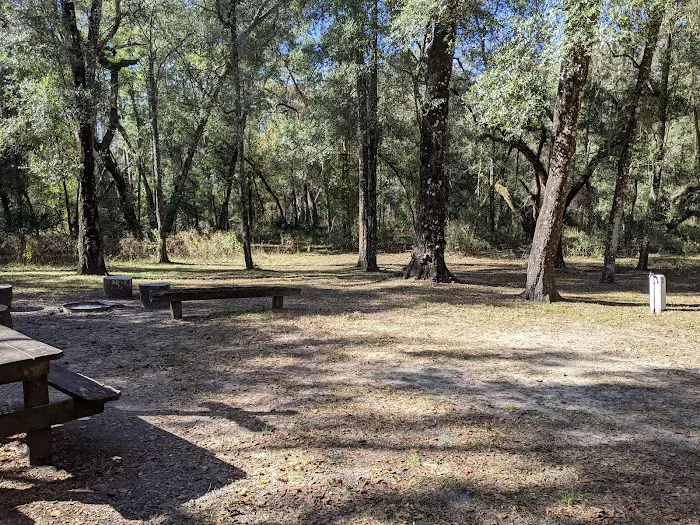 Hog Island Recreation Area, Campground & Kayak Launch 8