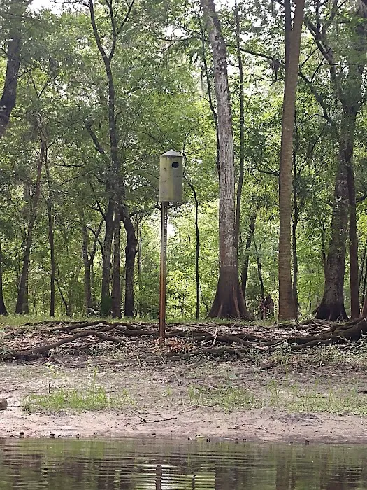 Hog Island Recreation Area, Campground & Kayak Launch 4