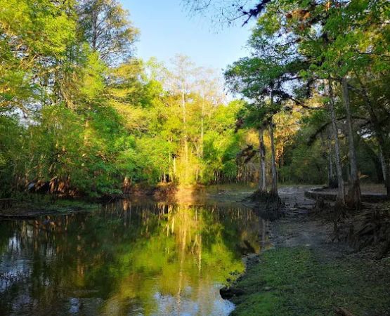 Hog Island Recreation Area, Campground & Kayak Launch