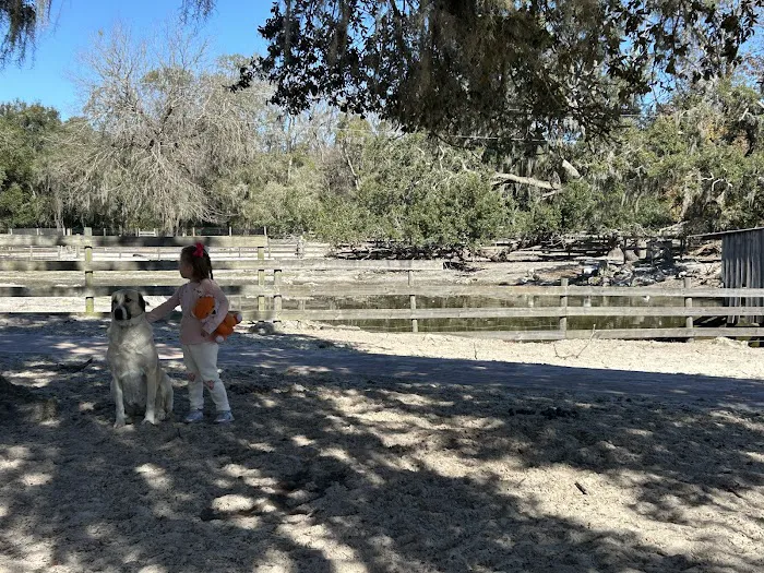 Lucky U Ranch 6