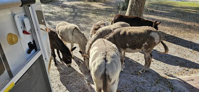 Lucky U Ranch 2