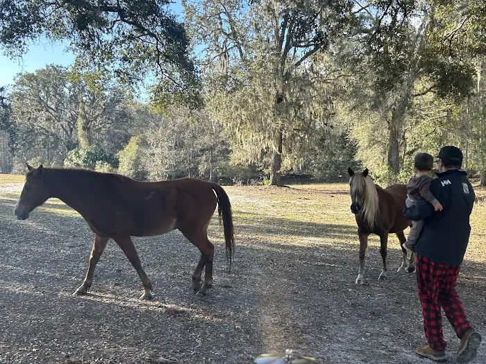 Lucky U Ranch 7