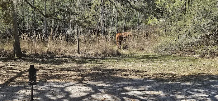 Lucky U Ranch 0