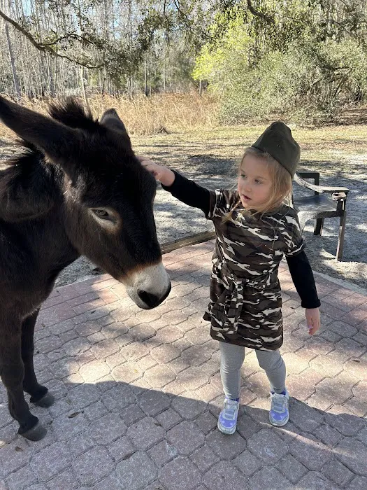 Lucky U Ranch 1