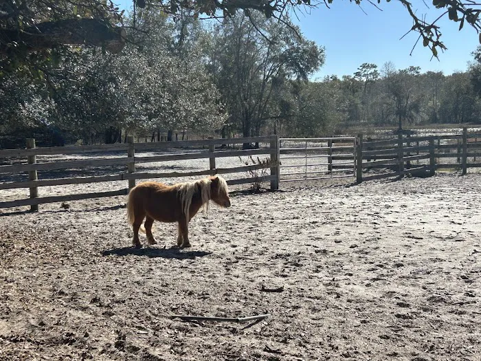Lucky U Ranch 5