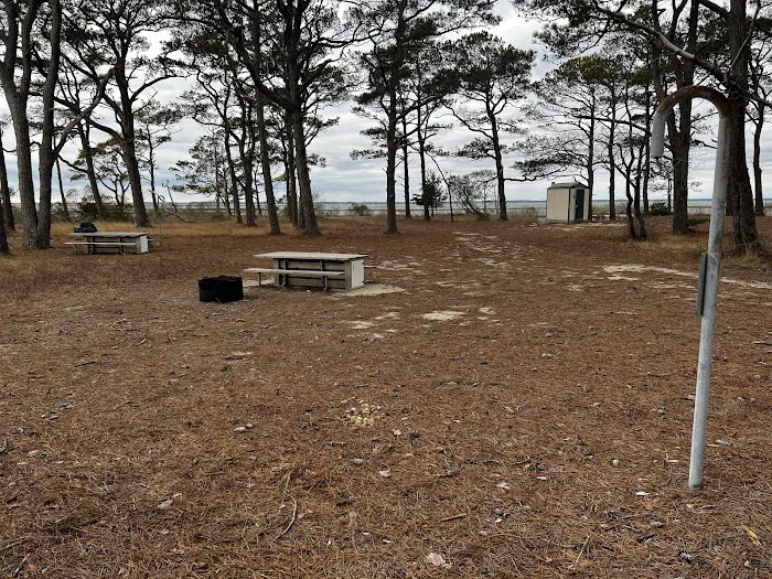 TIngles Island Camp, Assateague National Park 8
