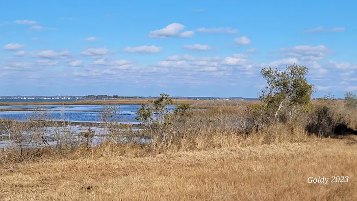 TIngles Island Camp, Assateague National Park 0