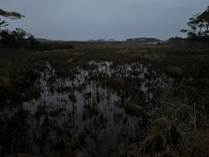 TIngles Island Camp, Assateague National Park 6