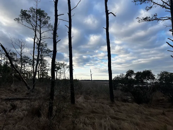 TIngles Island Camp, Assateague National Park 2