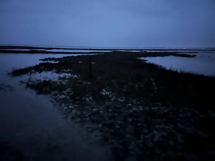 TIngles Island Camp, Assateague National Park 3