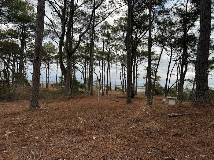 TIngles Island Camp, Assateague National Park 4