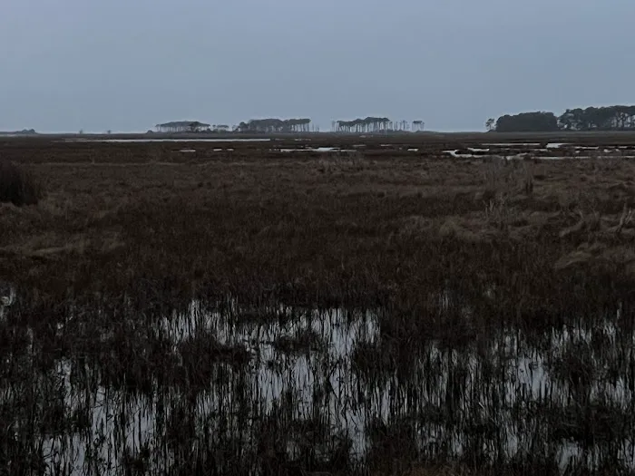 TIngles Island Camp, Assateague National Park 5