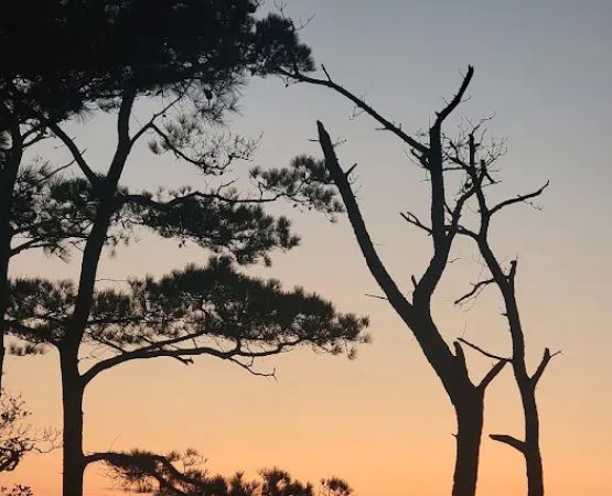 Back Country Camping-Tingles Island Campground