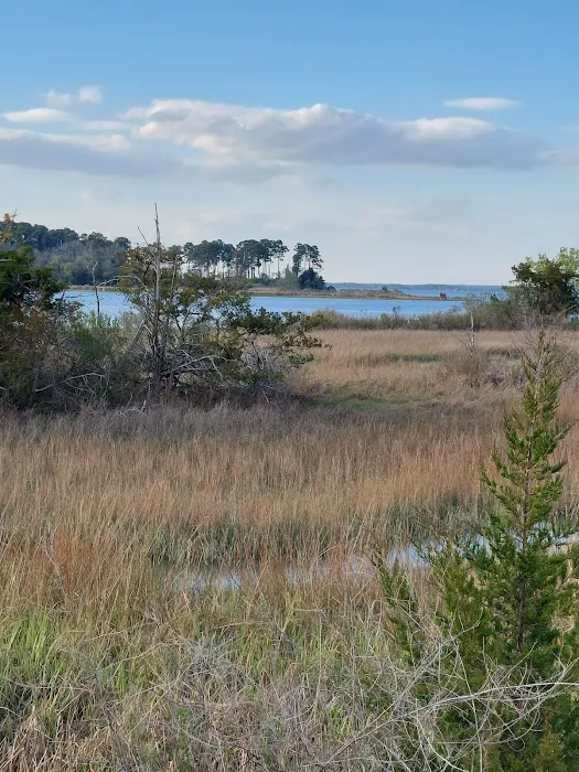 Naval Weapons Station Yorktown - Cheatham Annex Recreation Area 8