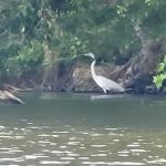 Newport News Parks Campsite Office
