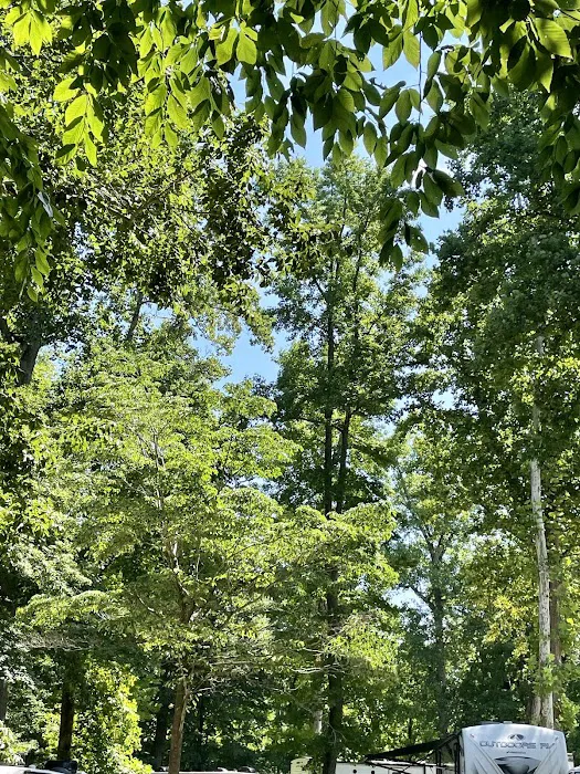 Carter's Cove Campground 7