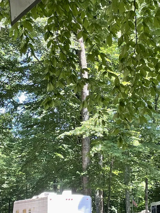 Carter's Cove Campground 1