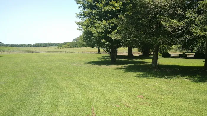 Campground Loop A 3