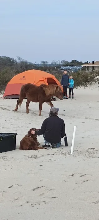 Oceanside Group Campground 1