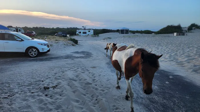 Oceanside Drive-In Campground 1