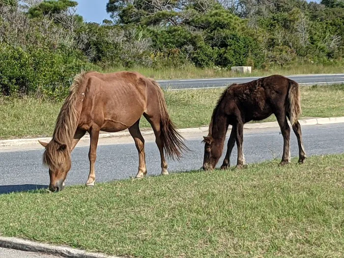 Oceanside Drive-In Campground 8