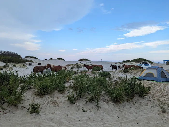 Oceanside Drive-In Campground 6