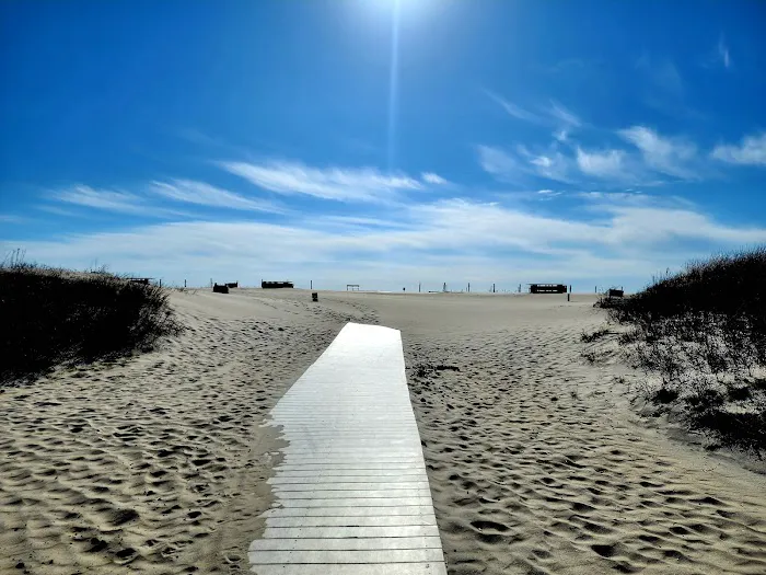 Oceanside Walk-In Campground 8