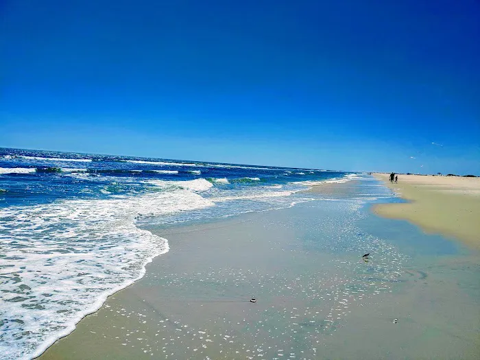 Oceanside Walk-In Campground 6