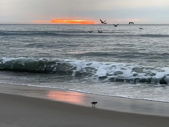 Oceanside Walk-In Campground 3