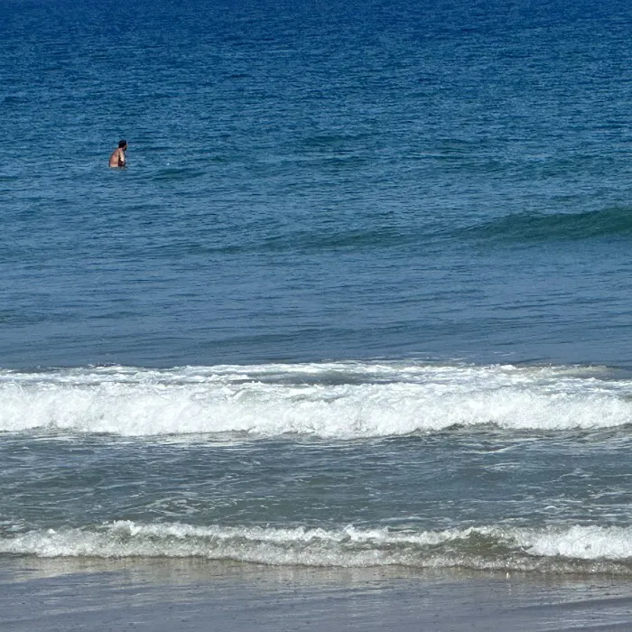 Assateague State Park Youth Group Campsites 7
