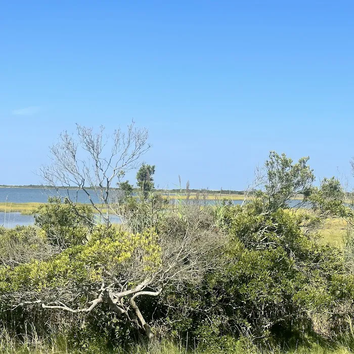 Assateague State Park Youth Group Campsites 8