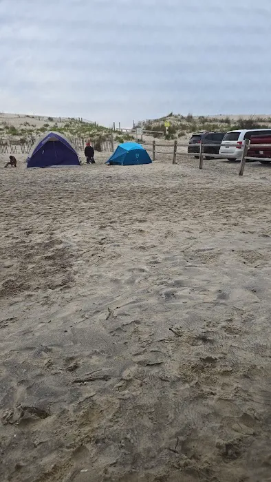 Assateague State Park Youth Group Campsites 0