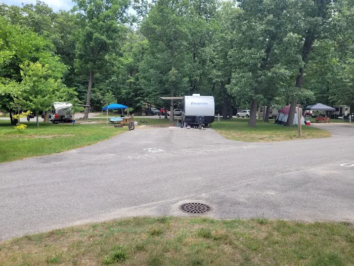 Electric Campground 9