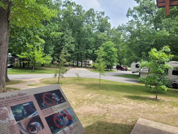 Electric Campground 0