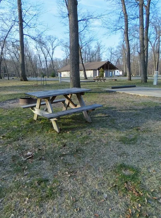 Electric Campground 8
