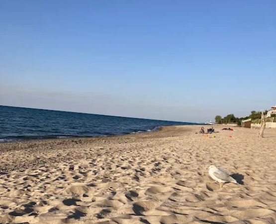 Dunbar Group Campsite