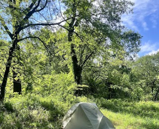 Central Avenue Walk-in Campsites