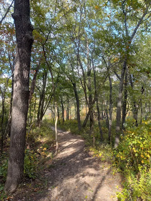 Central Avenue Walk-in Campsites 4