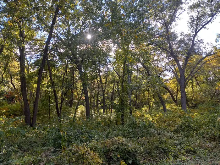 Central Avenue Walk-in Campsites 9