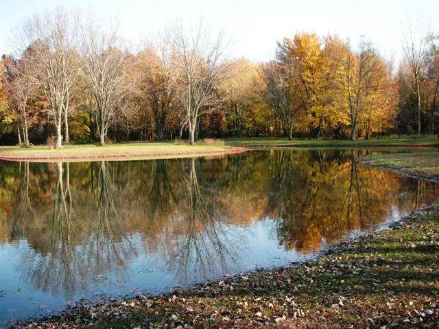 Michigan City Campground 0
