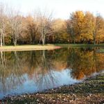Michigan City Campground