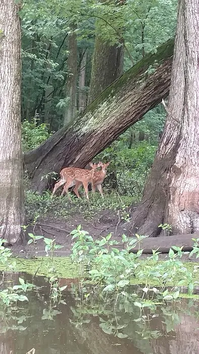 Southern Lake County Conservation Club 2