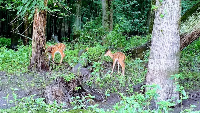 Southern Lake County Conservation Club 1